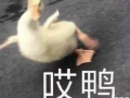 有病沙雕自拍文案，有病沙雕的文案