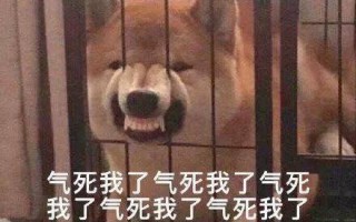 微醺文案沙雕，微醺 文案