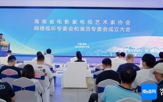 电视情景短剧策划方案，剧情短片策划
